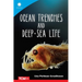 Ocean Trenches and Deep-Sea Life