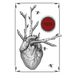 Thirteen: Stories of Transformation