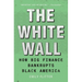 The White Wall: How Big Finance Bankrupts Black America