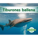 Tiburones Ballena (Whale Sharks)