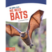 We Need Bats