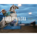 Rodeo Nebraska