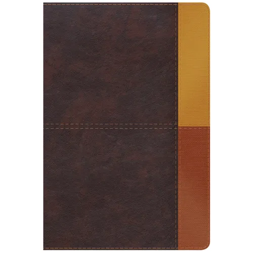 Rvr 1960 Biblia de Estudio Arcoiris, Cocoa/ Terracota Símil Piel