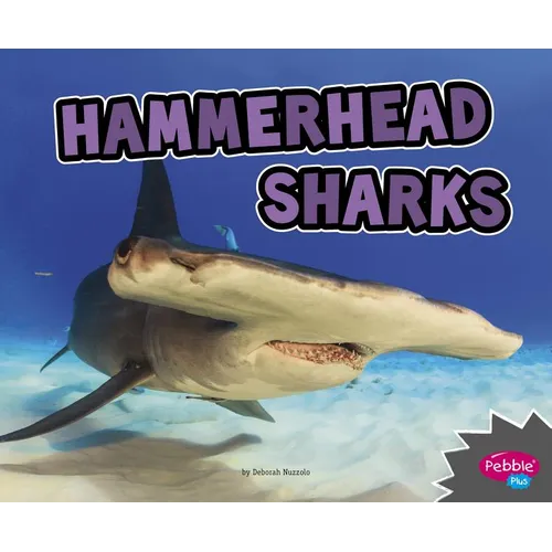 Hammerhead Sharks