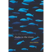 Sharks in the Rivers