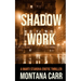 Shadow Work: A Marti Starova Erotic Thriller Book 2