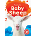 Baby Sheep