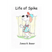 Life of Spike