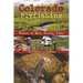 Colorado Flyfishing