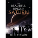 The Beautiful Rings of Saturn