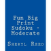 Fun Big Print Sudoku - Moderate: Large Grid Sudoku Puzzles
