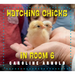 Hatching Chicks in Room 6