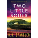 Two Little Souls: An absolutely addictive mystery thriller