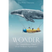 Wonder: The Extraordinary Power of an Ordinary Experience