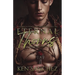 Eternal Thorns (The Feybound Chronicles Book One): An MM Fantasy Romance