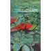 Downstream: Reimagining Water
