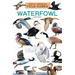 Waterfowl