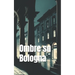 Ombre su Bologna (Italian Noire): Italian Crime Fiction (Italian Edition)