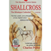 Shallcross: The Blindspot Cathedral, A Novel
