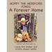 Hoppy the Hereford Finds a Forever Home