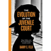 The Evolution of the Juvenile Court: Race, Politics, and the Criminalizing of Juvenile Justice