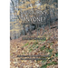 Sojourns, Anyone?: A Guide To Rejuvenation