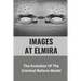 Images At Elmira: The Evolution Of The Criminal Reform Model: The Reality Of Elmira Reformatory