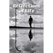 Reflections of life