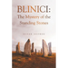 Blinici: The Mystery of the Standing Stones