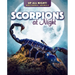 Scorpions at Night