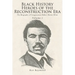 Black History Heroes of the Reconstruction Era: The Biography of Congressman Robert Brown Elliot