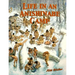 Life in an Anishinabe Camp