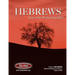 Hebrews Jesus: Our Perfect Sacrifice