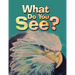 What Do You See?