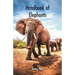 Handbook of Elephants