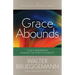 Grace Abounds: God's Abundance Against the Fear of Scarcity