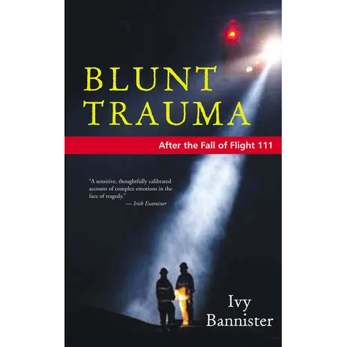 Blunt Trauma: After the Fall of Flight 111