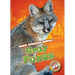 Gray Foxes