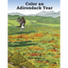 Color an Adirondack Year