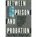 Between Prison and Probation: Intermediate Punishments in a Rational Sentencing System