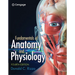 Study Guide for Rizzo's Fundamentals of Anatomy and Physiology, 4th