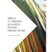 Biblia Cu Predici Şi SchiŢe Pentru Predicatori: Evanghelia DupĂ Marcu
