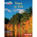 Trees in Fall