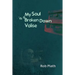 My Soul Is A Broken Down Valise