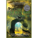 The Courtyard Conundrum: A Weal & Woe Bookshop Witch Mystery