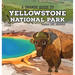 Yellowstone National Park: A Grande Guide