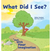 What Did I See?: A Walk With Your Imagination