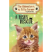 A Risky Rescue: The Adventures of Kitty Corner Book 1