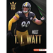 Meet T. J. Watt: Pittsburgh Steelers Superstar