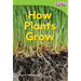 How Plants Grow